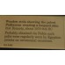 Text, Wooden stela, priest Padiamun, leopard skin